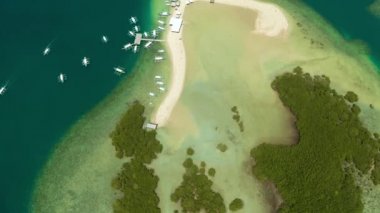Kumlu bir tropik ada. Palawan, Filipinler