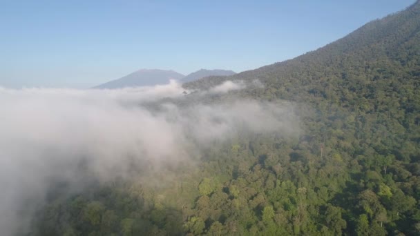 Tropikalny krajobraz lasy deszczowe i góry — Wideo stockowe