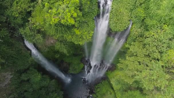 Piękny tropikalny wodospad Bali, Indonezja. — Wideo stockowe