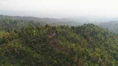 Dağ manzarası tarım arazileri ve Endonezya Bali köyü.