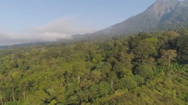 Tropikal manzara yağmur ormanları ve dağlar