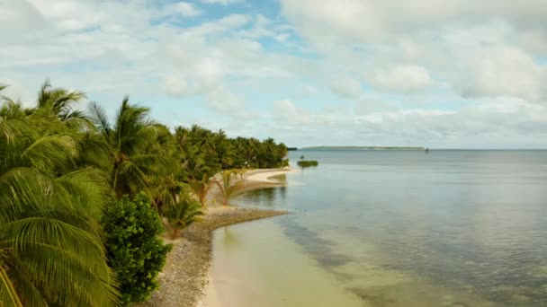 Plage tropicale avec palmiers., vue aérienne.