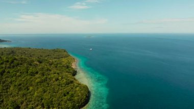 Hindistan cevizi ağaçları ve turkuaz lagün manzarası