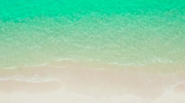 Tropik plaj ve dalgalı mavi deniz.