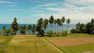 Tropik manzara, pirinç tarlaları ve deniz Camiguin, Filipinler
