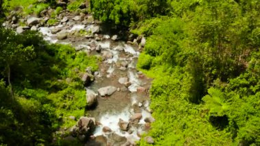 Yağmur ormanlarındaki dağ nehri, Filipinler, Camiguin.