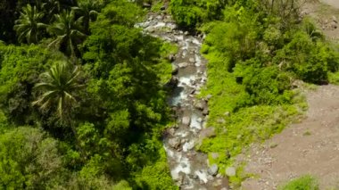 Yağmur ormanlarındaki dağ nehri, Filipinler, Camiguin.