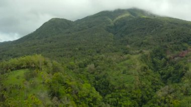 Dağlarla kaplı yağmur ormanları, Filipinler, Camiguin.