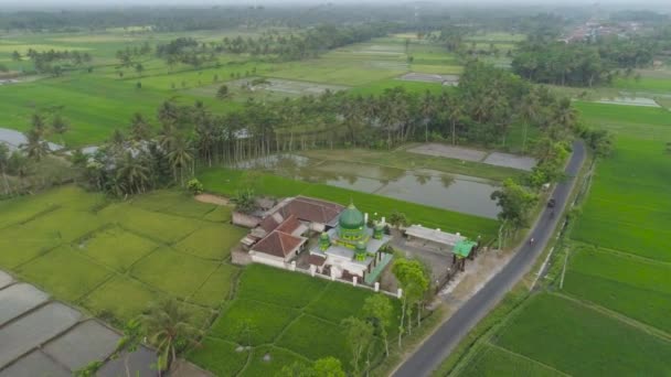 印度尼西亚爪哇稻田中的清真寺 — 图库视频影像