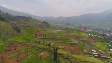 Dağlarda tarım arazileri olan tropikal manzaralar