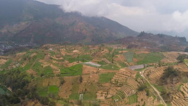 Paisaje tropical con tierras de cultivo en las montañas — Vídeos de Stock