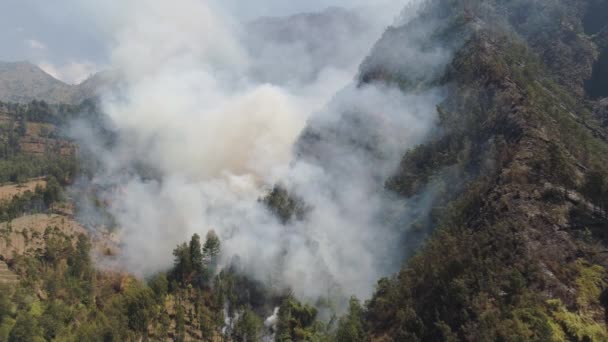 feu de forêt dans les montagnes