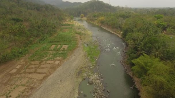 Paesaggio tropicale fiume, terreni agricoli — Video Stock