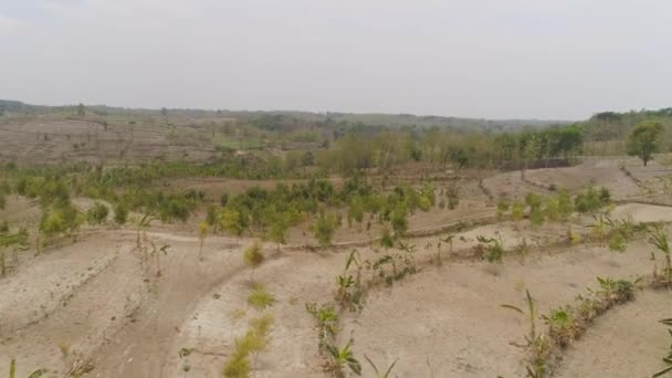 Agrarlandschaft in Indonesien. — Stockvideo