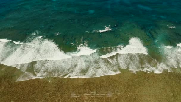 Wellen krachen auf Korallenriff. — Stockvideo
