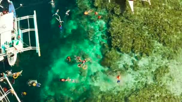 Turistas haciendo snorkel en arrecife de coral, Moalboal, Filipinas — Vídeos de Stock