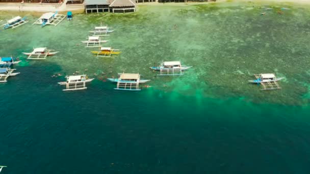 Mercan resiflerinde, Moalboal 'da, Filipinlerde şnorkelle yüzen turistler — Stok video