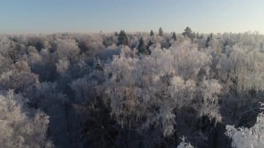 Kırsal kesimde kış manzarası
