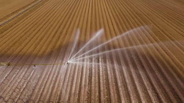 Bewässerungssystem auf landwirtschaftlichen Flächen. — Stockvideo