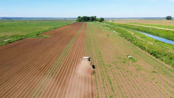 Landbouwmachines in het aardappelveld verbouwen de grond — Stockvideo
