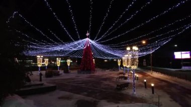 Parktaki Noel ağacı.