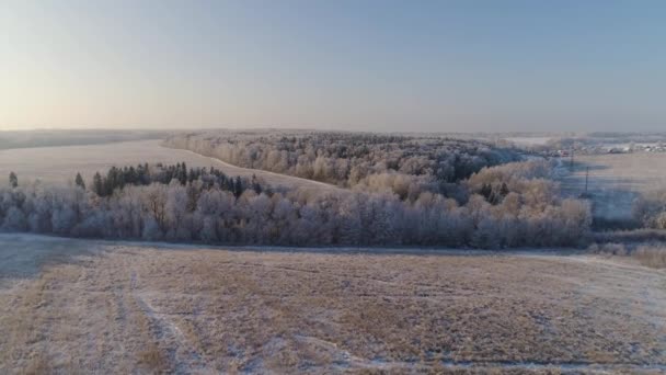 Paisagem de inverno no campo — Vídeo de Stock