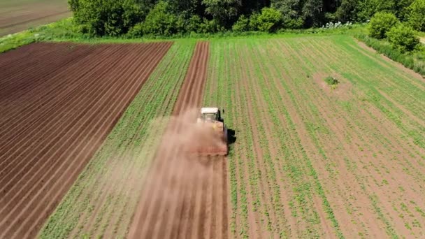 감자 밭에 있는 농기구는 땅을 경작 한다 — 비디오