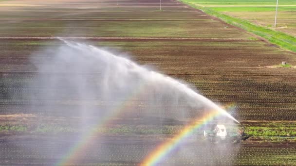 Irrigation system on agricultural land. — Stock Video
