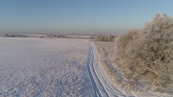 Paisaje invernal en el campo — Vídeo de stock