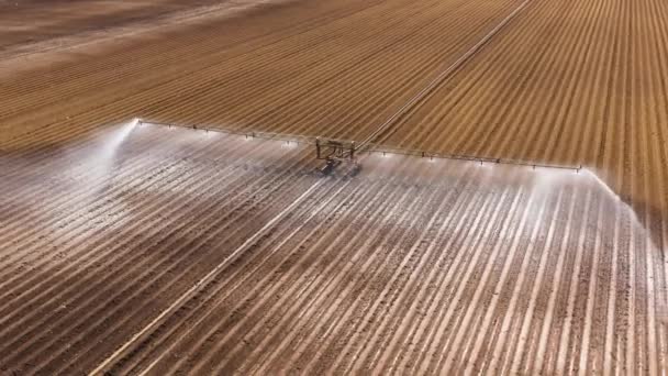 Système d'irrigation des terres agricoles. — Video