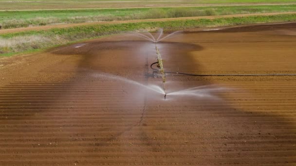 Sistema de irrigação em terras agrícolas. — Vídeo de Stock