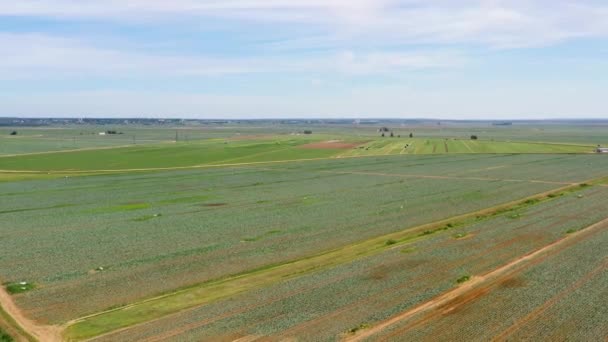 Landbouwgrond met groene gewassen van bovenaf — Stockvideo