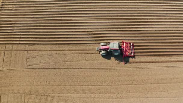 Traktor s kotoučovými brázdami na zemědělské půdě — Stock video