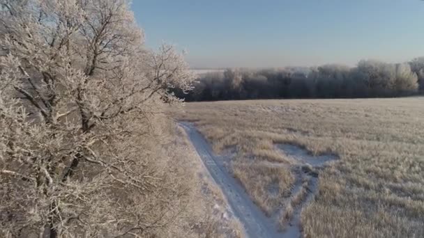 Зимовий пейзаж у сільській місцевості — стокове відео