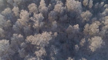 Kırsal kesimde kış manzarası