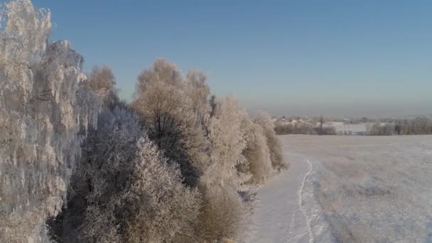 Paisaje invernal en el campo — Vídeos de Stock