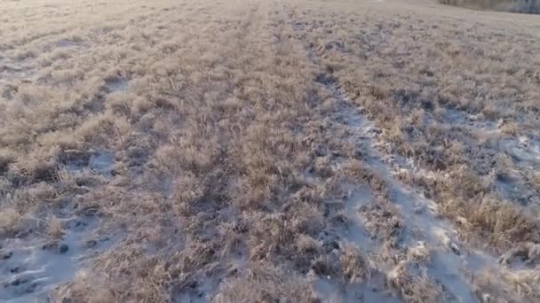 Paisaje invernal en el campo — Vídeo de stock