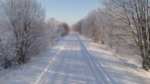 Winterlandschap op het platteland — Stockvideo