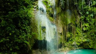 Güzel tropik şelale Filipinleri, Cebu