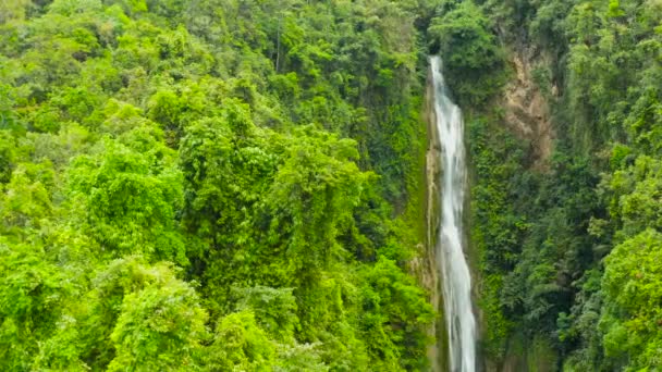 Vackra tropiska vattenfall Filippinerna, Cebu — Stockvideo