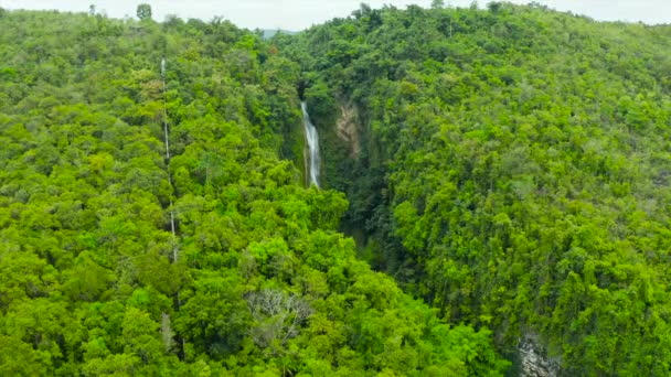 Bela cachoeira tropical Filipinas, Cebu — Vídeo de Stock