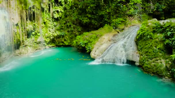 Prachtige tropische waterval Filippijnen, Cebu — Stockvideo