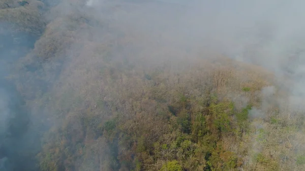 Лісова пожежа в горах — стокове фото