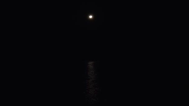 Maanlicht op zee — Stockvideo