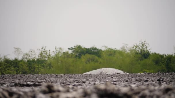 Volcan de boue Bledug Kuwu, Indonésie — Video