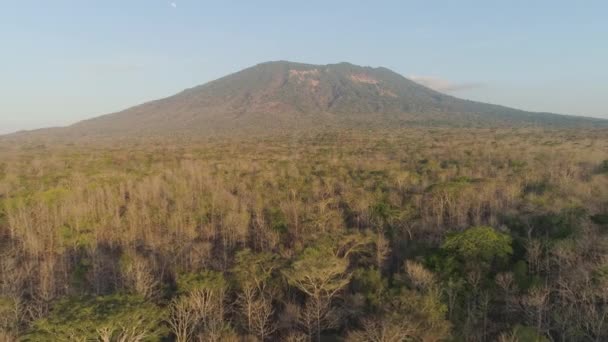 Tropisch landschap met berg Indonesië. — Stockvideo