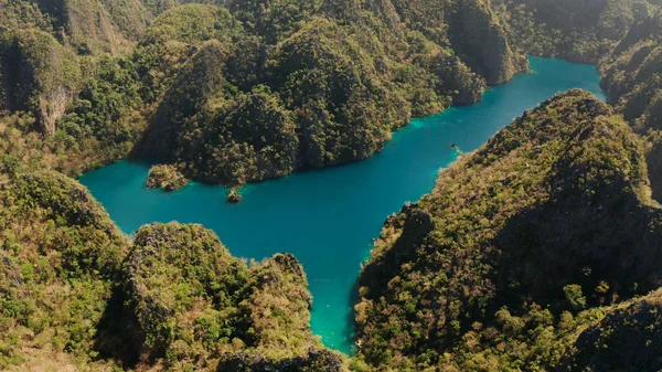 Tropik ada, Filipinler, Coron, Palawan 'daki Kayangan Dağı.