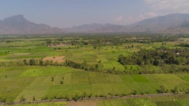 Endonezya 'da tarım arazisi