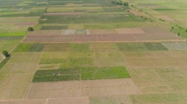 Endonezya 'da tarım arazisi