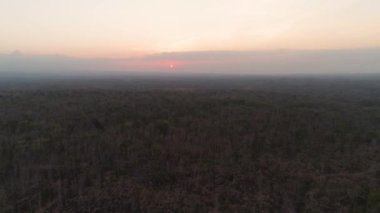 gün batımını savana